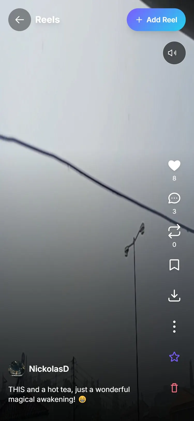 Reels